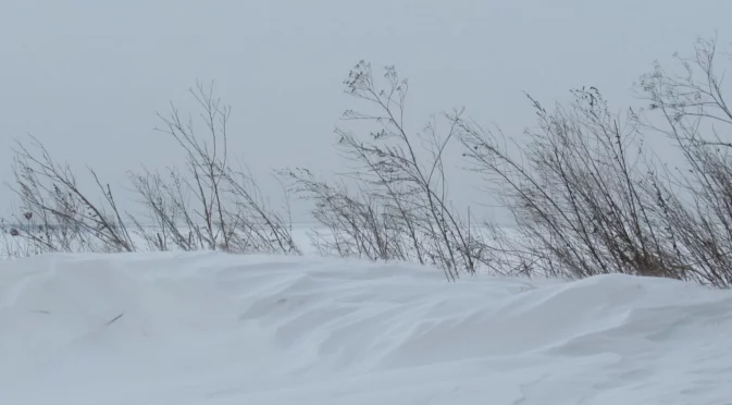 Минус 56 градуса с виелица: В Якутия чакат да стане и по-студено (ВИДЕО)