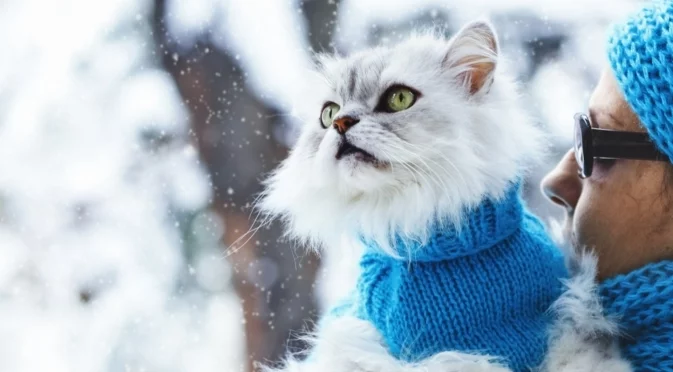 Прогноза за времето - 25 декември 2025 г. (четвъртък)