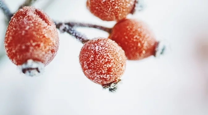 Колко градуса им е "най-студеното" на гърците за Коледа