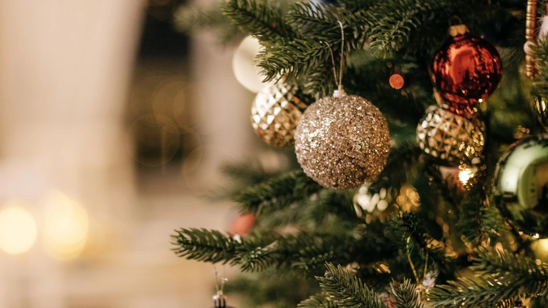 Коледните пожелания на президента и премиера в оставка