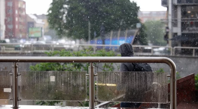 Заради порой: Извънредно положение в Калифорния (ВИДЕО)