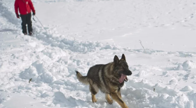 По дънки и маратонки в планината: Спасиха двама пишман туристи