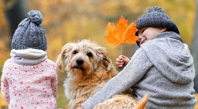 Национална мрежа за децата отчете ключови успехи през 2025 г.