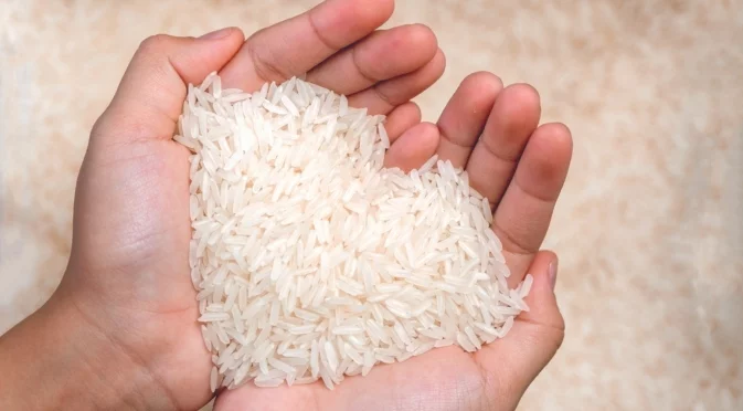 Хитър трик със сух ориз за абсорбиране на излишната зимна влага в саксии