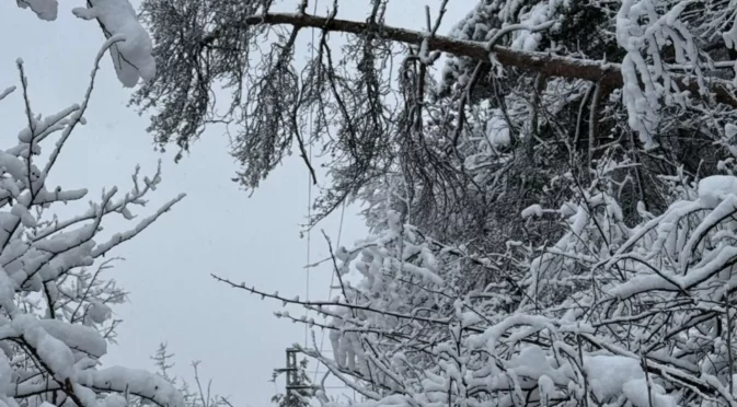 Екипите на ЕРМ Запад възстановиха електрозахранването на голяма част от засегнатите клиенти след усложнената зимна обстановка