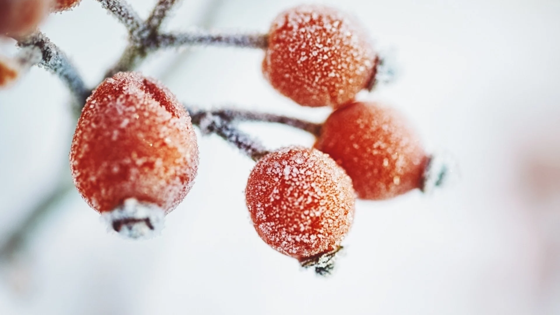 Прогноза за времето - 27 декември 2025 г. (събота)