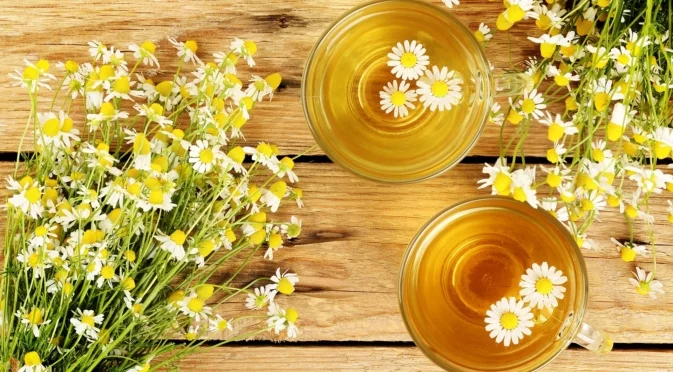 Как да засадите и отглеждате лайка