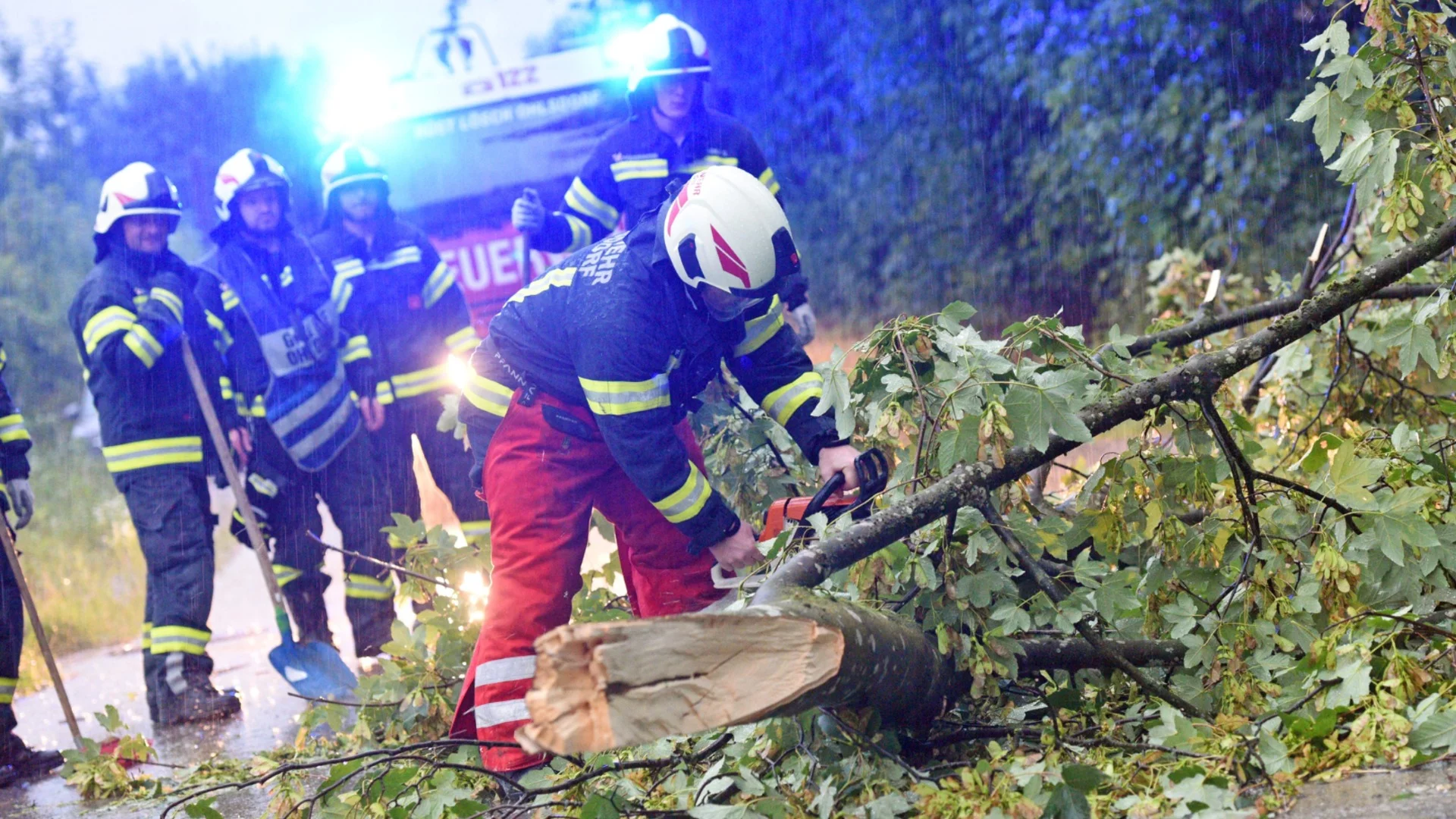 Ураганни ветрове: В три области има щети и паднали дървета (ВИДЕО+СНИМКИ)