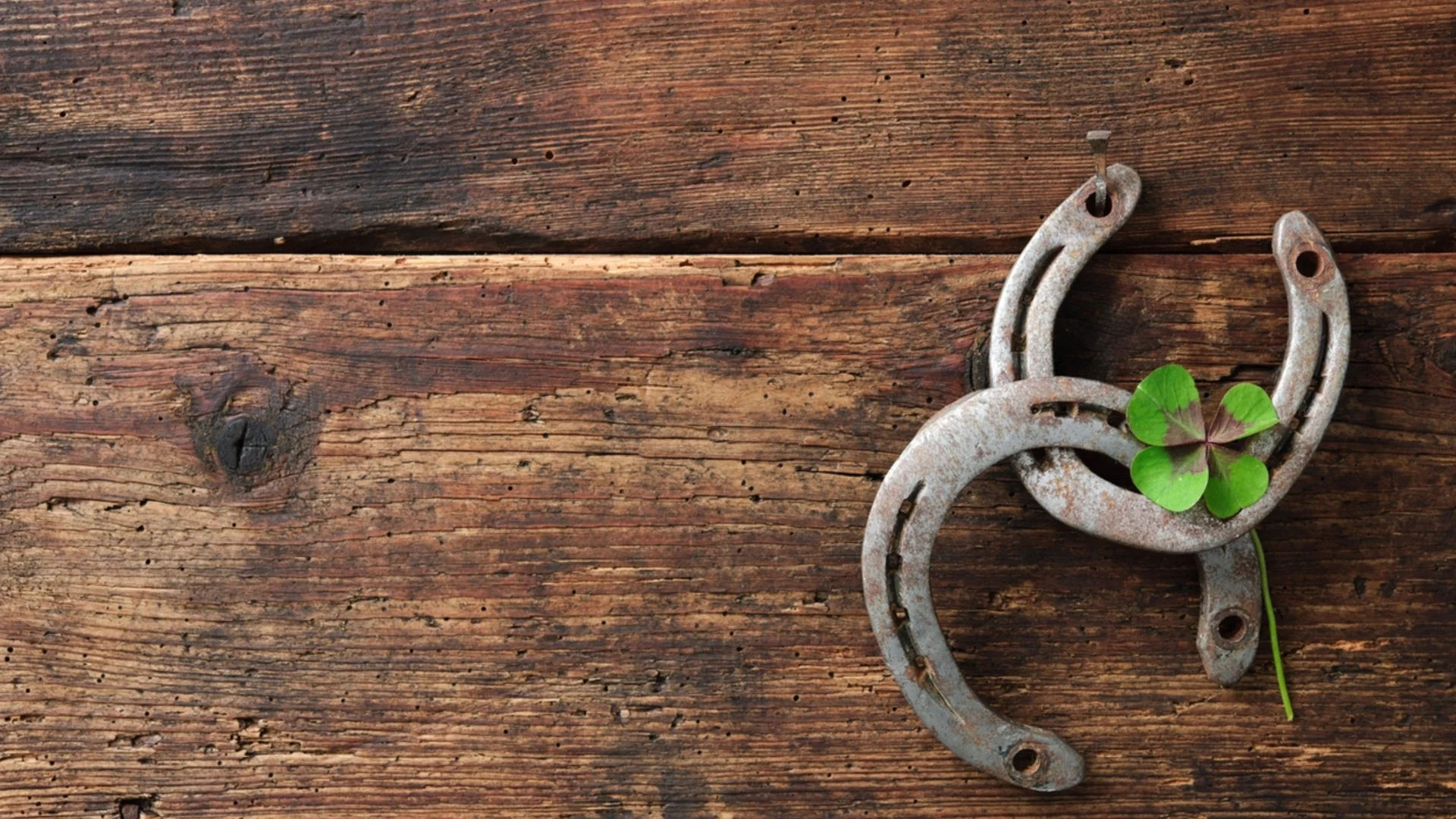 Късметче според зодията за тази седмица, 29 декември 2025 – 4 януари 2026