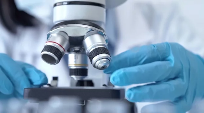 Животните, които са способни да се сгъват като оригами