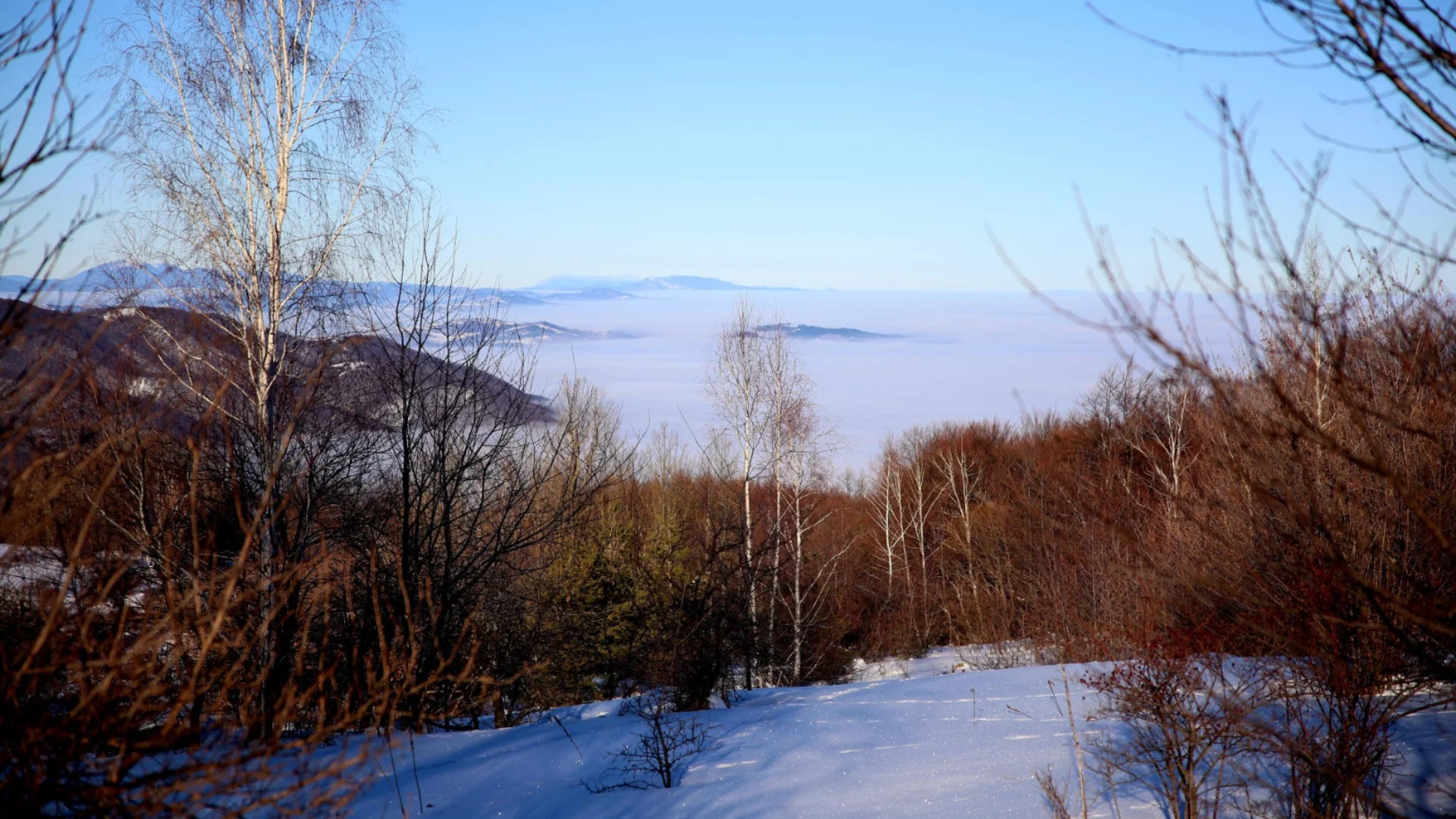 Издирват 22-годишен младеж, изчезнал в района на Витоша