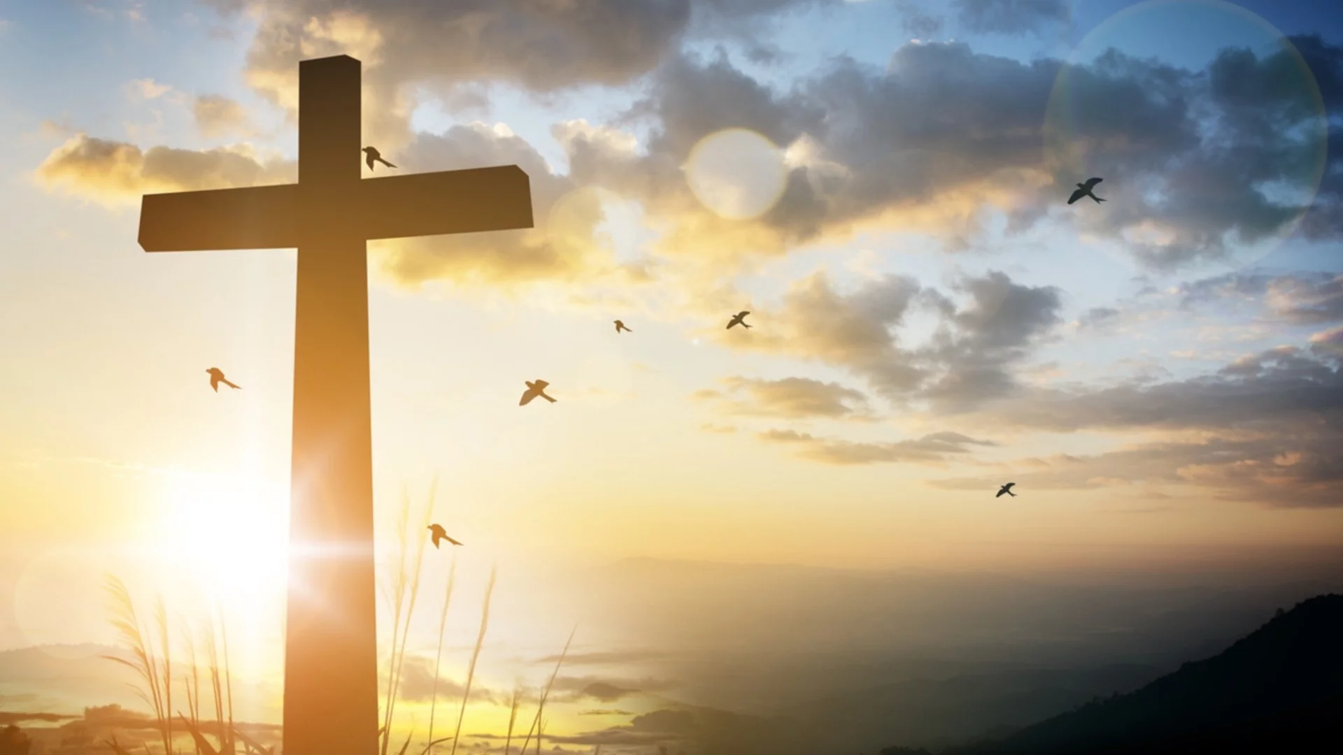 Хороскоп за утре, 1 януари: Васильовден благославя Рибите и сурвака Девите за здраве