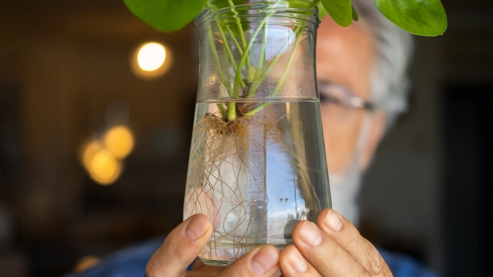 Мътна вода в буркана ви за размножаване на растения - какво означава това и как да го поправите  