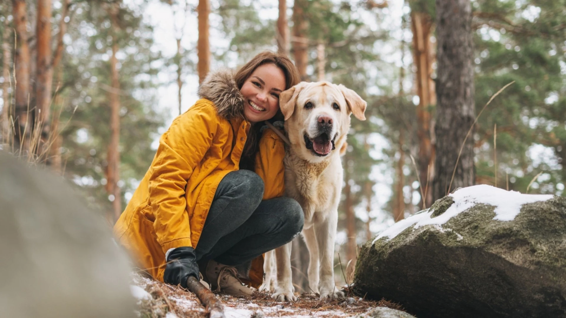 Хороскоп за днес, 2 януари: Вторият ден от годината носи късмет на Стрелците, но първи главоболия на Лъвовете