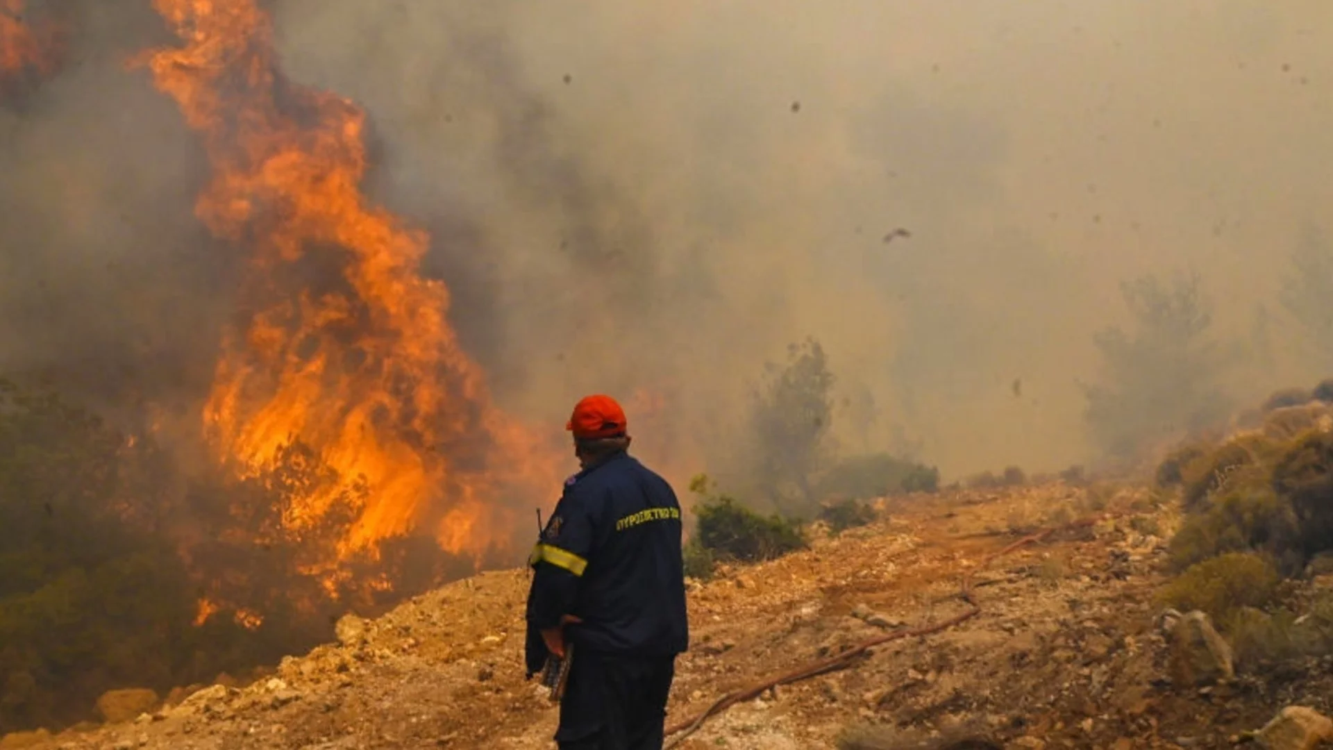 Планирано изгаряне: Ето как Гърция ще се бори с горските пожари
