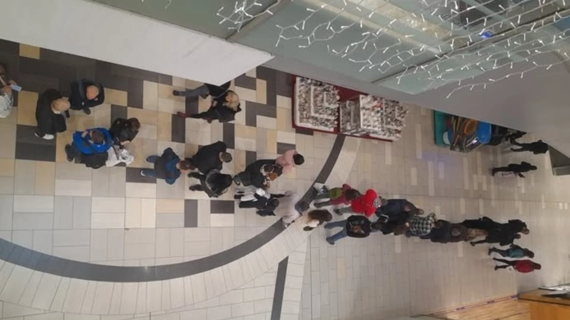 Евроистерия: Опашките за скъпо евро - заради глупост или съмнителни пари