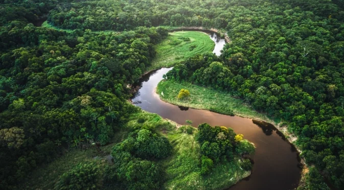 Стряскащо: Амазонските гори влизат в състояние, непознато за Земята от милиони години