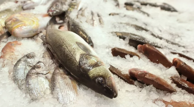 Турция постави рекорд за производство на риба