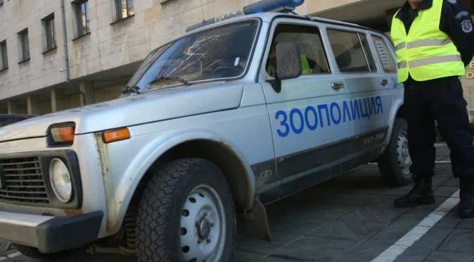 Разстрел на куче в Айтос