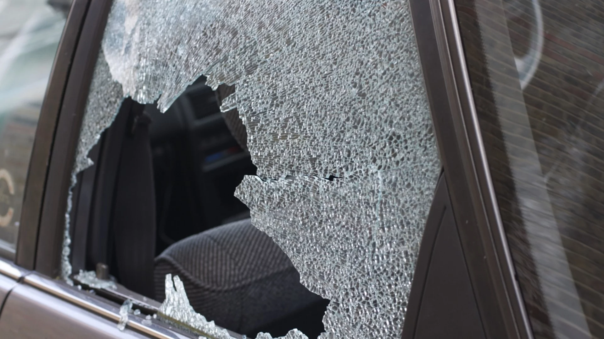 Нелепа смърт: Дърво падна върху движещ се автомобил, уби млада жена