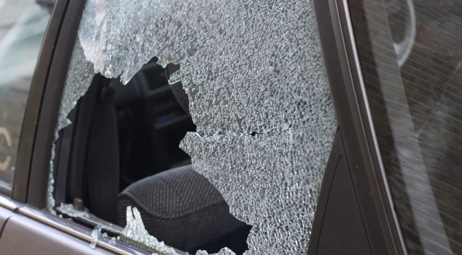 Нелепа смърт: Дърво падна върху движещ се автомобил, уби млада жена