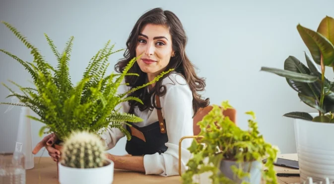 Недостатъчна светлина през зимата? Удвои я с огледало или фолио зад растенията