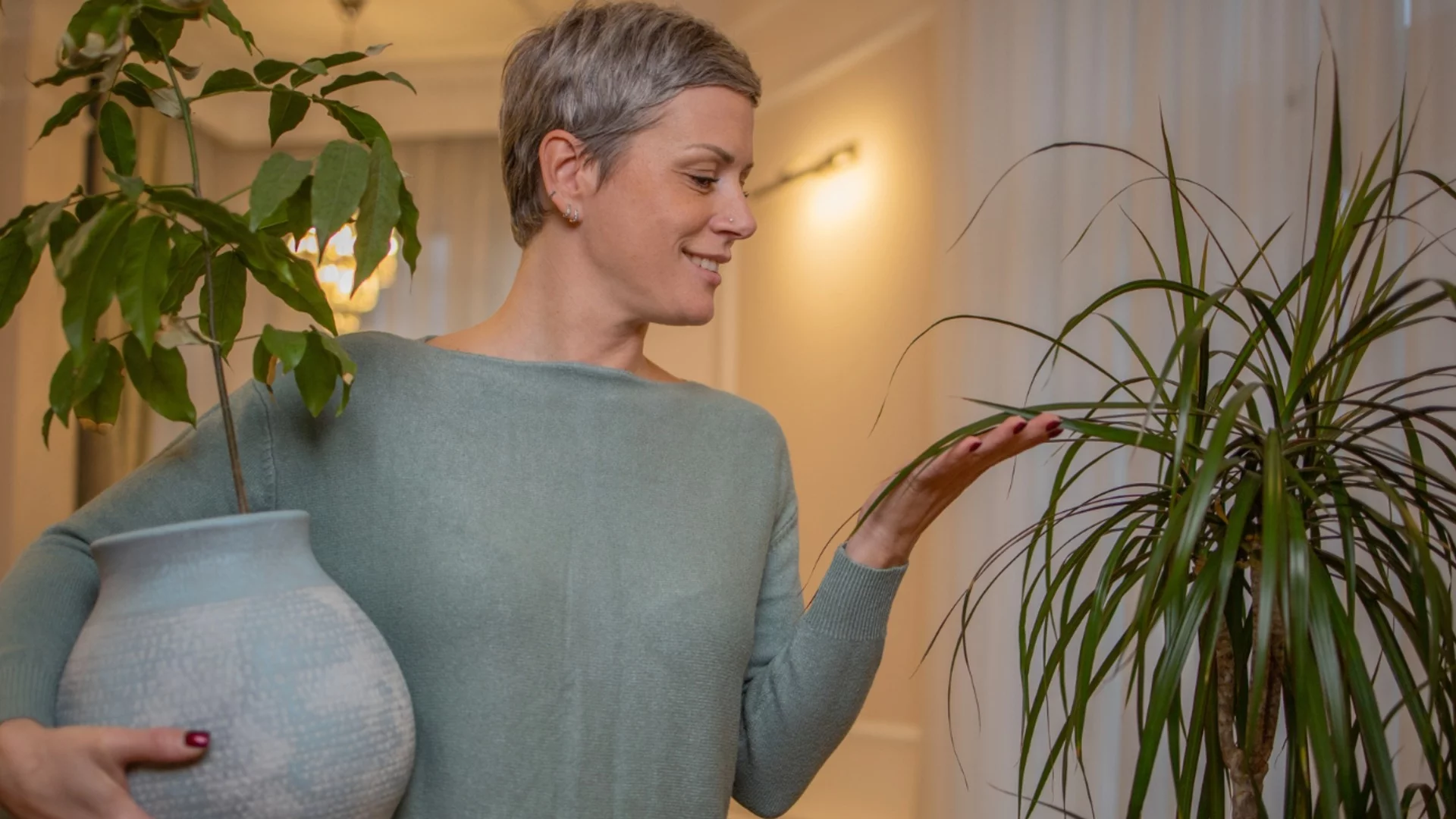 Какви растения да купите през 2026? Тези видове ще са истински хит!