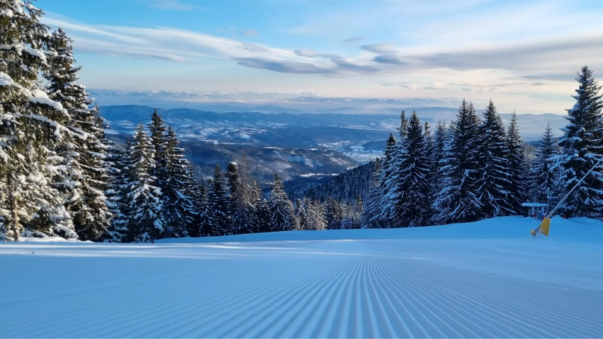 Силен вятър прекърши борове в курорта "Боровец", задействаха системата BG-Alert (СНИМКИ)