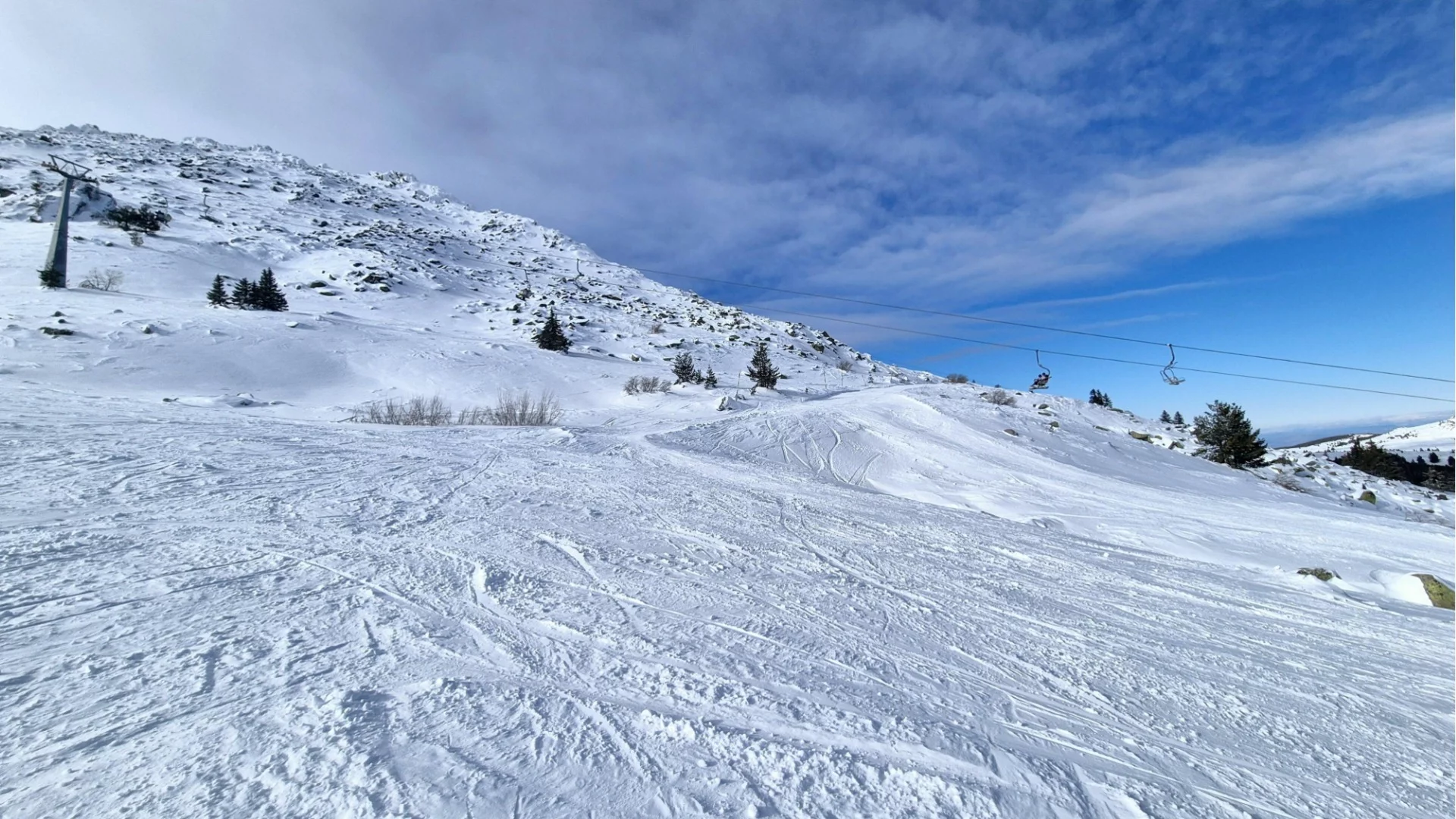 След убитата от паднало дърво жена: Затварят пътищата към Витоша