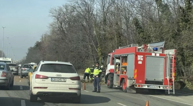 Близо 100 сигнала в София заради вятъра: Паднали дървета, клони и билбордове