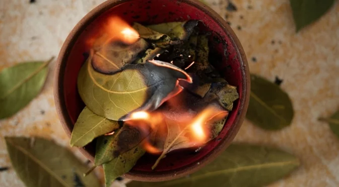 Защо нашите баби са изгаряли всяка вечер дафинов лист у дома