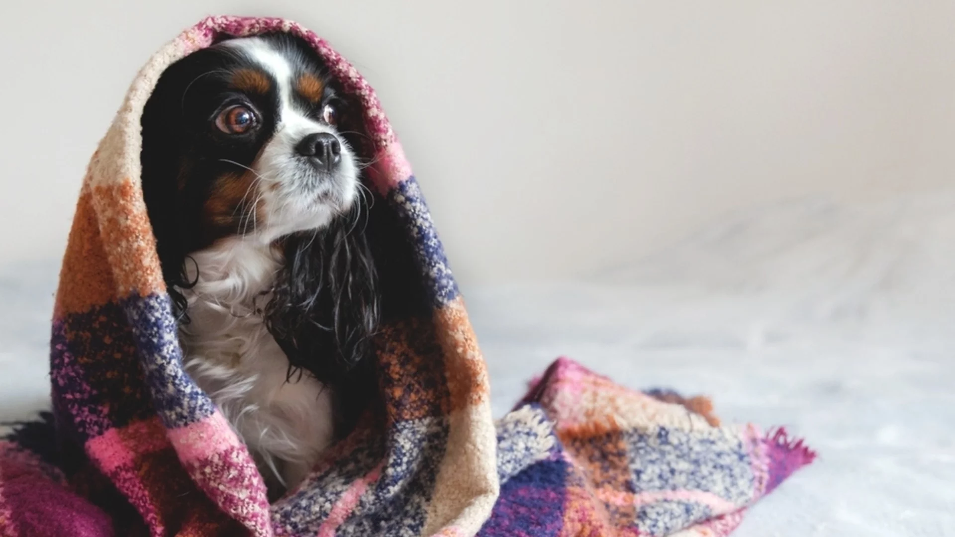 19° през януари! Времето утре - 6 януари 2026 г. 