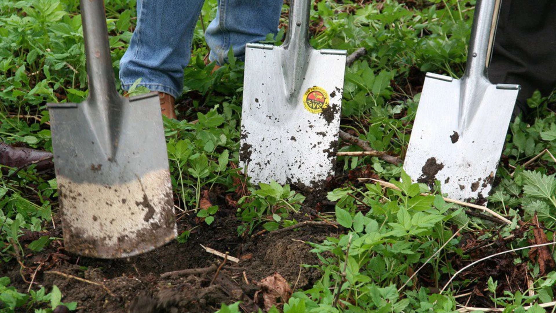 Градинарство без копаене звучи перфектно, но има ли недостатъци?