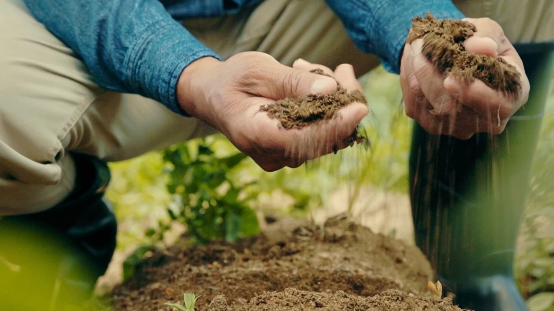 Най-добрият начин за подобряване на почвата през студената зима 