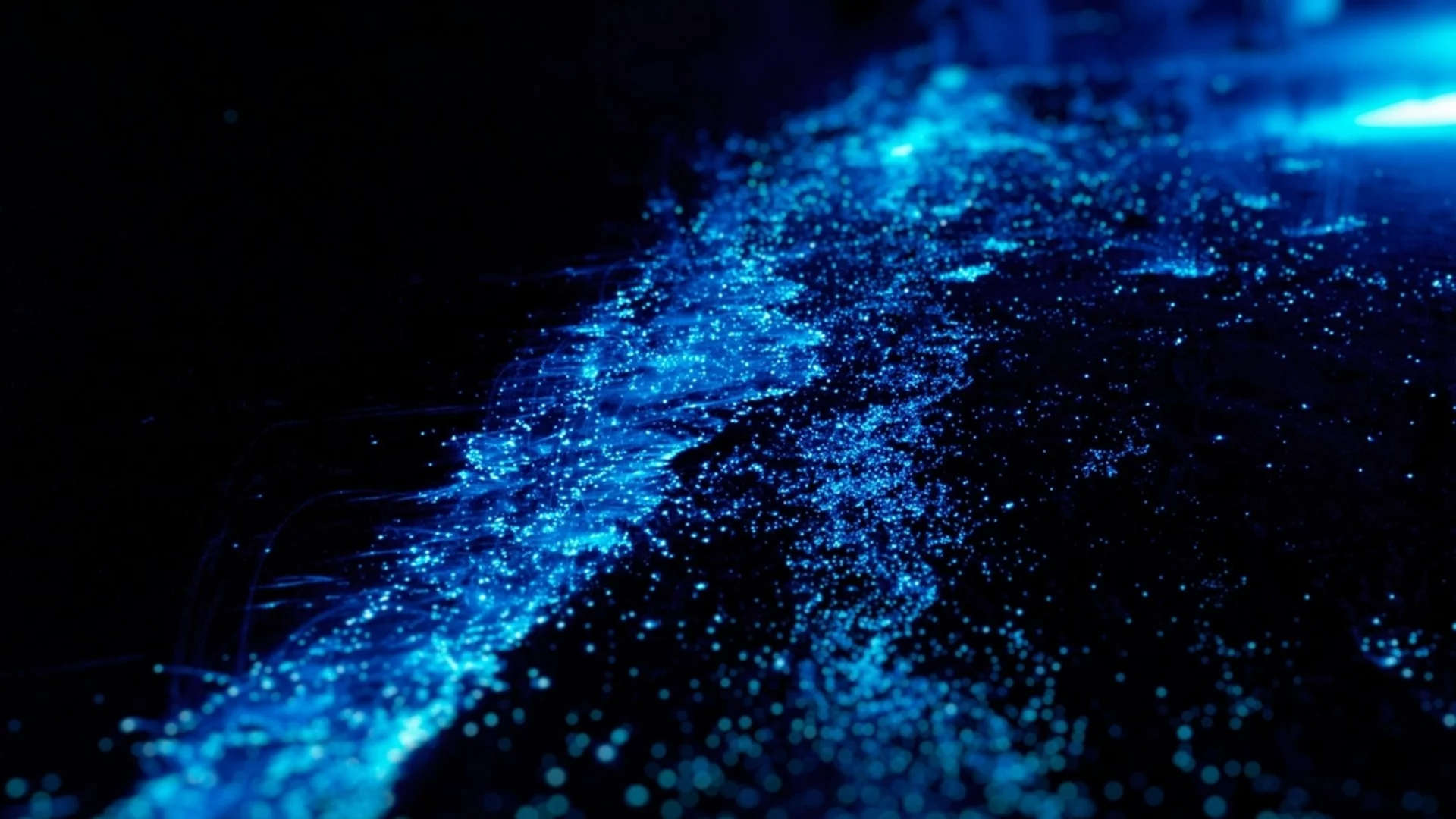 Светещите води край Тасмания: Причината за мистериозния феномен (ВИДЕО)