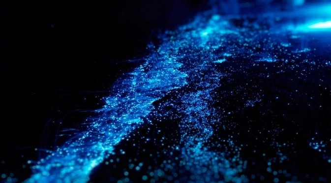 Светещите води край Тасмания: Причината за мистериозния феномен (ВИДЕО)