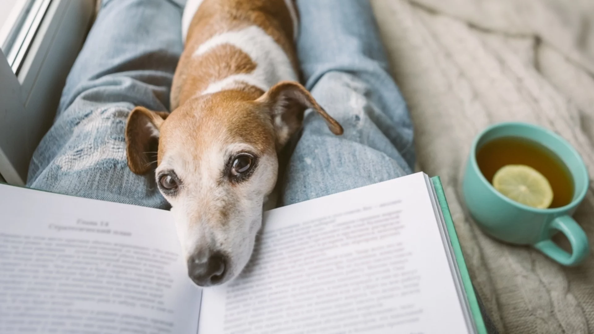 Прогнозата на Ивановден: Времето утре - 7 януари 2026 г. 