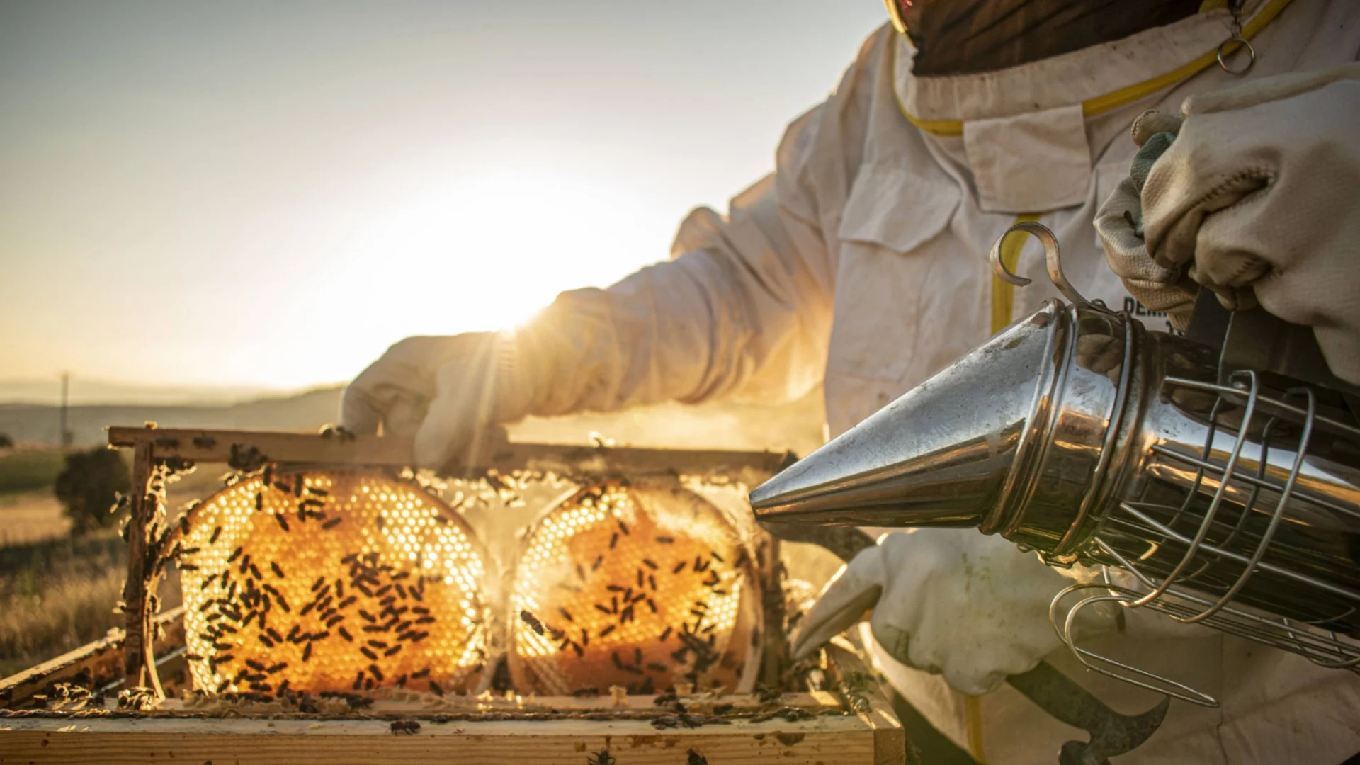 Пчеларите изпращат много тежка година