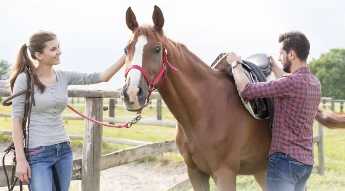 Двама души нахлуха в известен супермаркет, яхнали кон. Животното не издържа и "минира" няколко пъти (ВИДЕО)