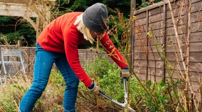 Бързи задачи в зимната градина, които ще ви спестят 40 часа през пролетта