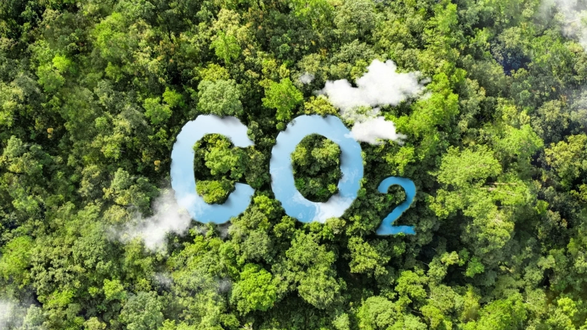 Добра 2025 г. Германия с рекордни приходи от търговията с въглеродни емисии