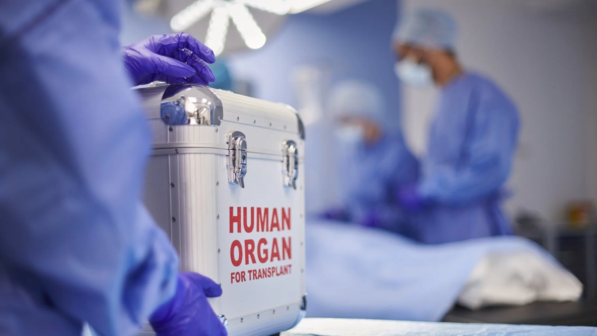 Успешни бъбречни трансплантации спасиха животи в Александровска болница