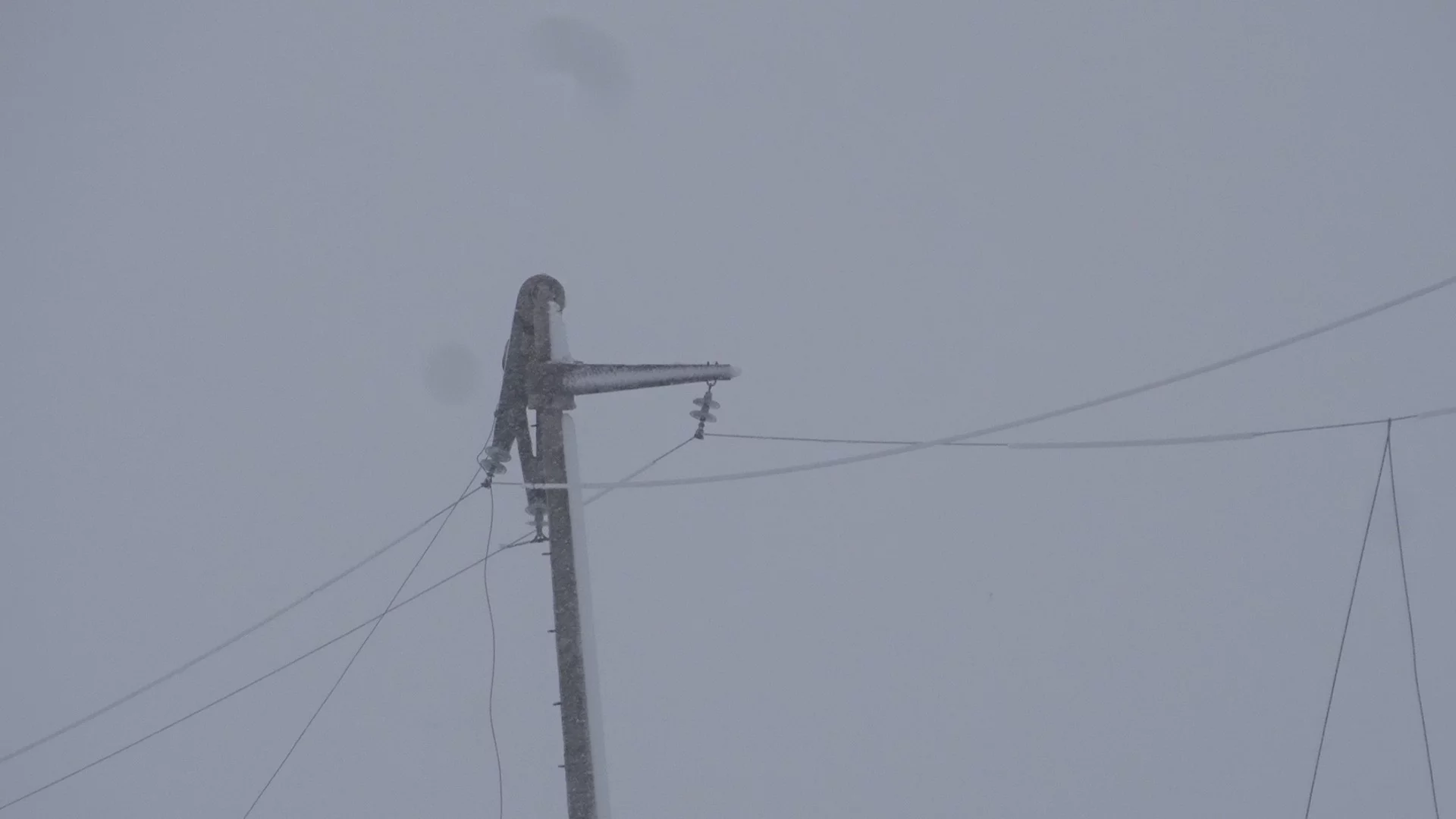 Четири дни без ток: Недоволни блокираха магистрала в Сърбия (ВИДЕО)