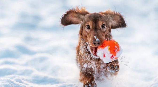 Голям студ в тези градове. Времето утре - 9 януари 2026 г.
