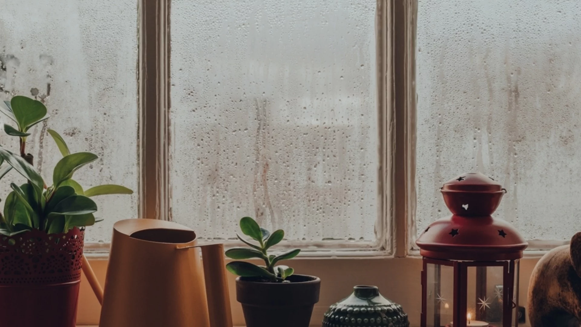 Нито пяна за бръснене, нито течност за стъкла: Хитър трик против конденз по прозорците