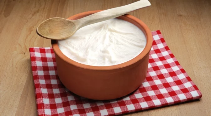 Кандидатстваме с киселото мляко в ЮНЕСКО