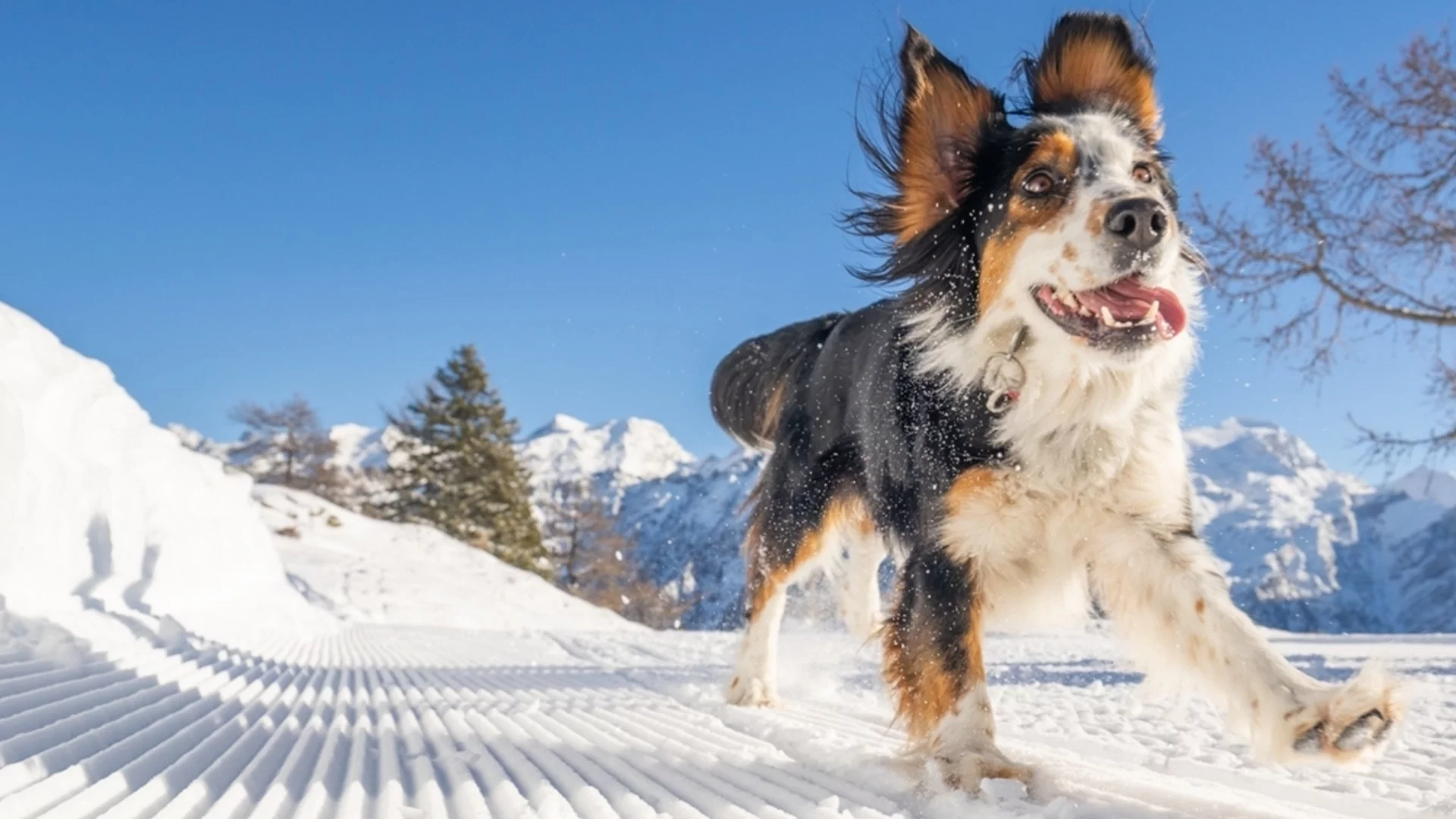 Мразовит уикенд - температурите по градове. Времето за 10-11 януари 2026 г. 