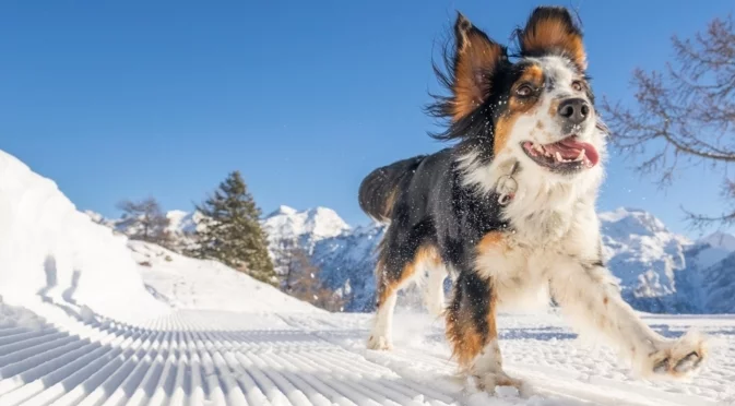 Мразовит уикенд - температурите по градове. Времето за 10-11 януари 2026 г. 