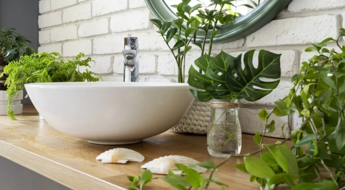 Най-красивите стайни растения за баня