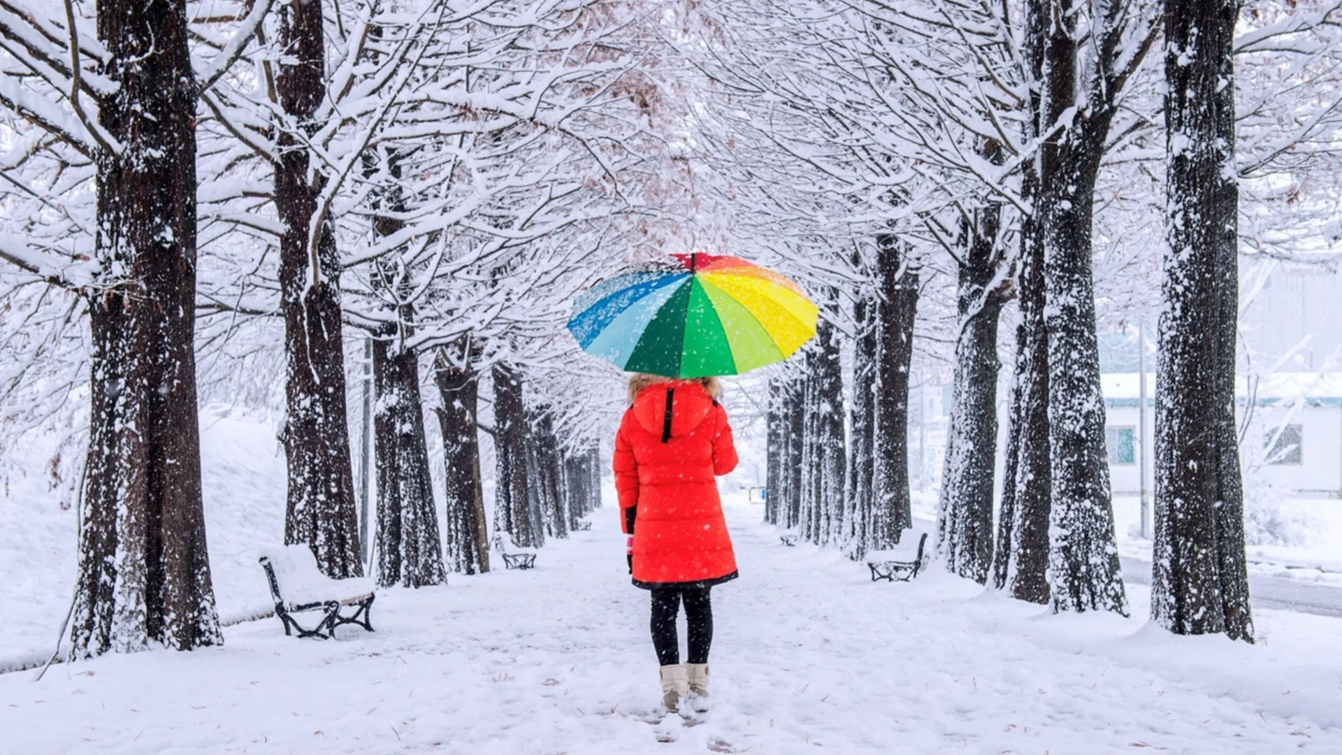 Прогноза за времето - 11 януари 2026 г. (неделя)